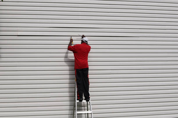 Best Brick Veneer Siding  in Colusa, CA